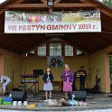 Festyn Gminny 2015 (15)